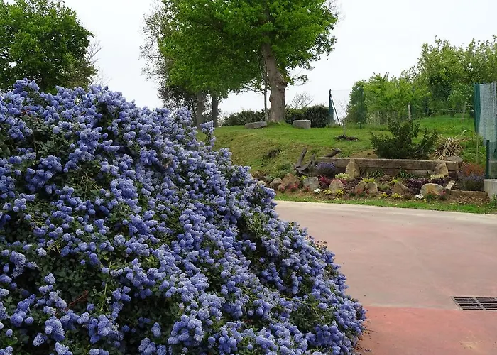 Campingplatz Camping&bungalows Leagi *